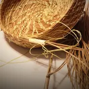 Vannerie Sauvage Atelier Spécial Noël