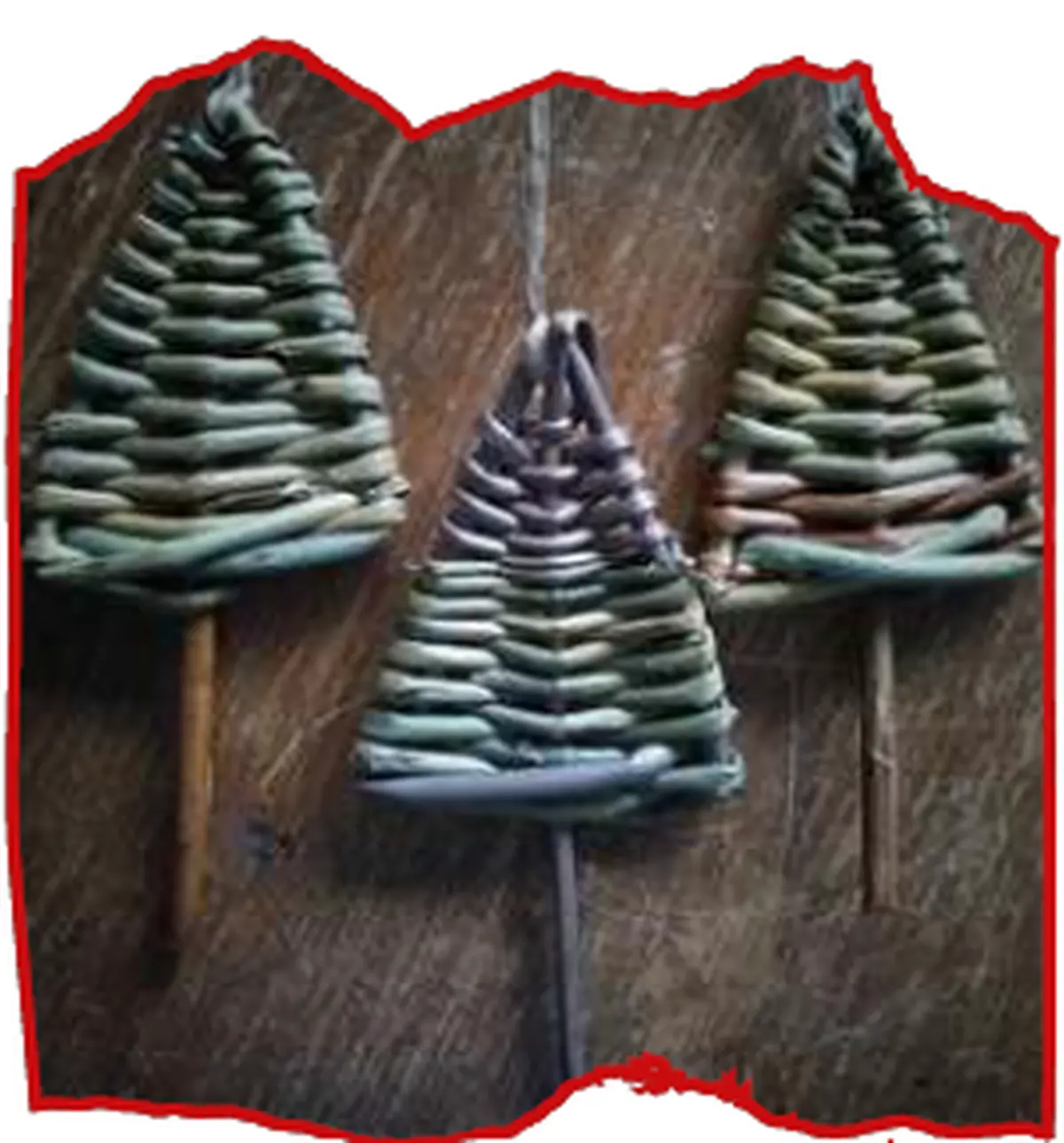 Vannerie sauvage pour Noël - Dimanche Nature