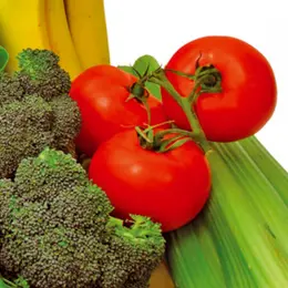 Variations sur la tomate