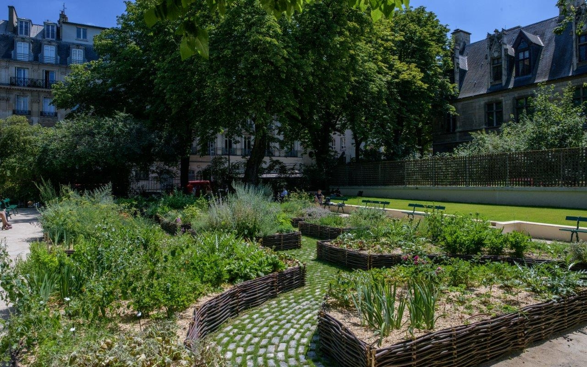 jardin de Cluny
