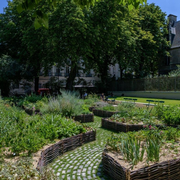 Végétalisation de l'espace public du 5ème