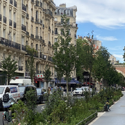 Végétalisation des quartiers de la capital Paris 12ème