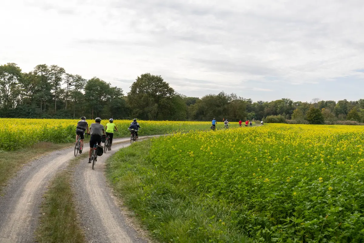 Parcourez les chemins à vélo entre France et Allemagne