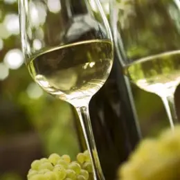 Vendanges tardives et Grains nobles