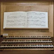 Vendredis de l’Orgue