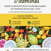 Vendredis Vitaminés
