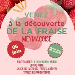 Venez à la découverte de la fraise meymacoise