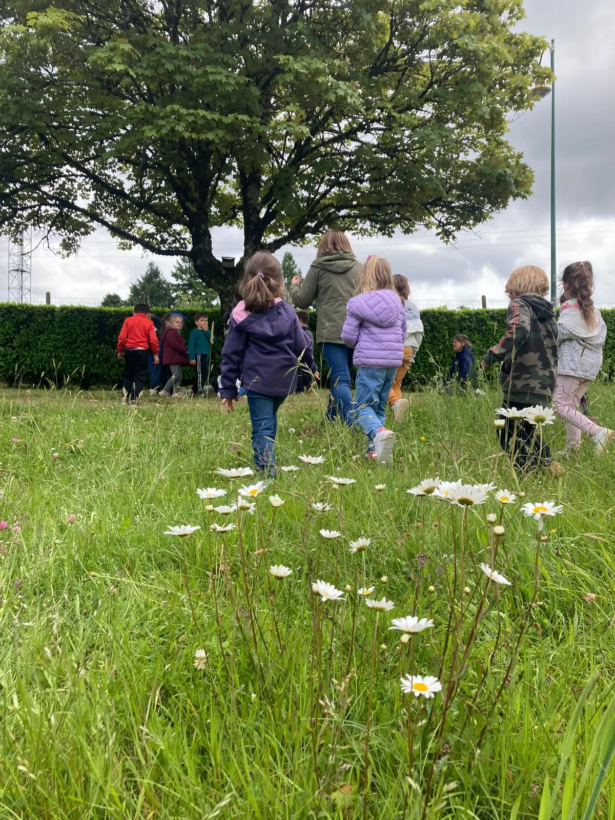 Venez jouer avec les pollinisateurs !