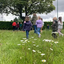 Venez jouer avec les pollinisateurs !