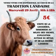 Venez vivre une expérience au cœur de la Tradition Landaise