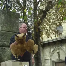 Vente aux enchères la Poule UN à Ste Eulalie d'Olt
