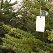 Vente de Noël de l'APE Labules