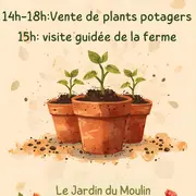 Vente de plants potagers au Jardin du Moulin