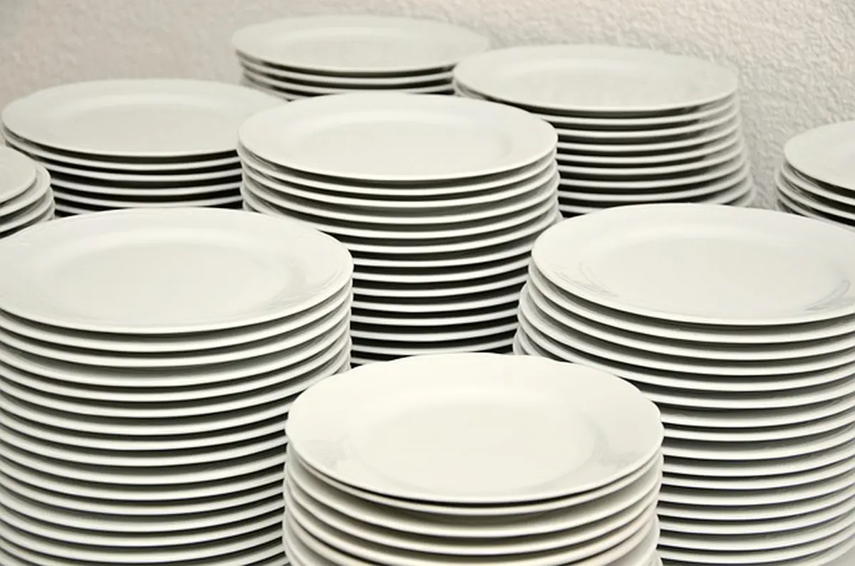 Vente de Porcelaine Bernardaud
