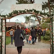 Vente de sapins ● Noël 2025