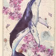 Vernissage - Cartes marines - Saison Ah ?