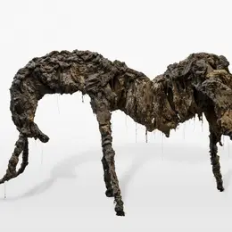 Vernissage de l'exposition : Un Désir Souterrain à la MAGCP de Cajarc