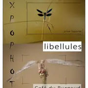 Vernissage Et Exposition Sur Les Libellules