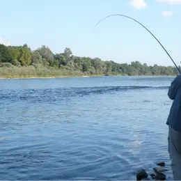 Vert Pêche