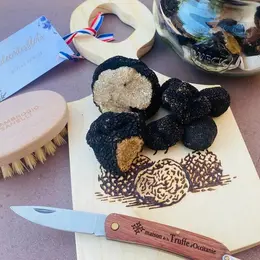 Ves 2026 - Atelier Signature Truffe