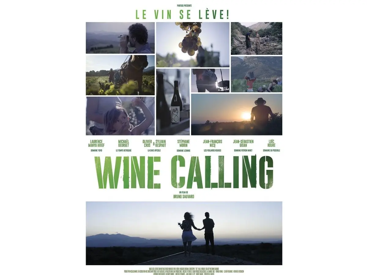 Ves 2026 - Ciném'Aude Vous Invite à Une Séance Immersive Sur Le Thème Du Vin !