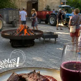 Ves 2026 - Dius A Vol - Fête De Fin Des Vendanges Au Château De Luc
