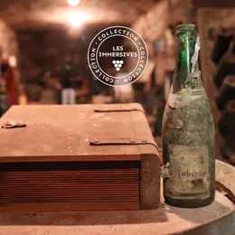 Ves 2026 - Escape Game Le Secret De Mes Pépés