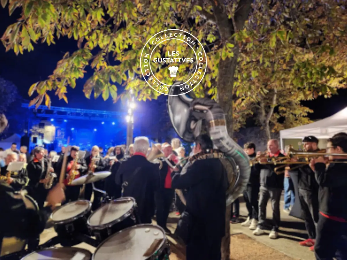 Ves 2026 - Rencontres Vigneronnes & Vendanges En Fête
