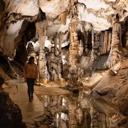 Ves 2026 - Visite & Dégustation Dans Les Entrailles De La Terre