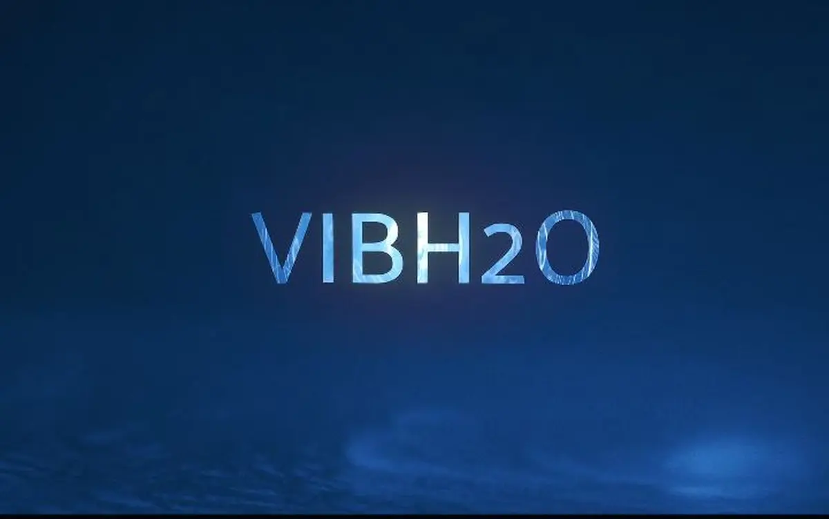 VIBH2O, fheel concepts