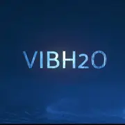 VIBH2O, fheel concepts