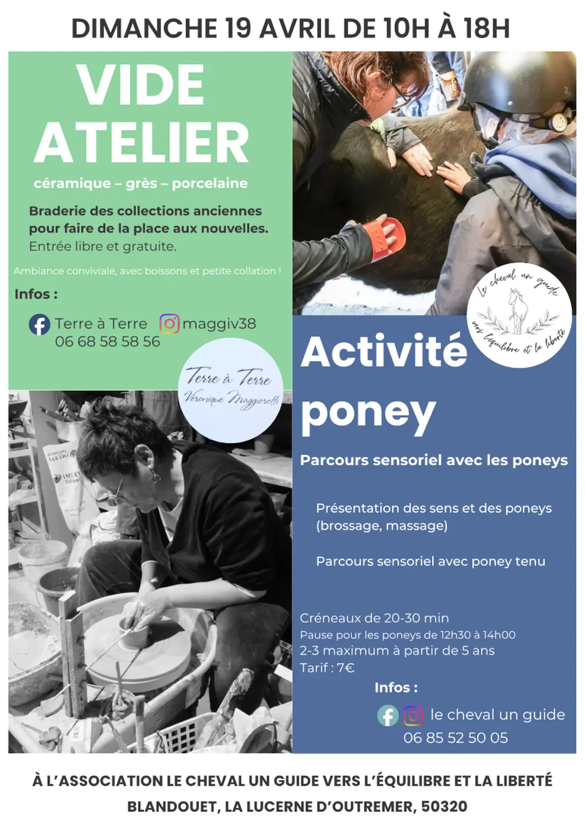 Vide atelier et activité avec les poneys