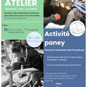 Vide atelier et activité avec les poneys