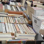 Vide-bibliothèque à Villesèque