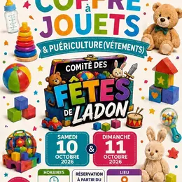 Vide-coffres à jouets