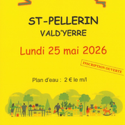 Vide-grenier