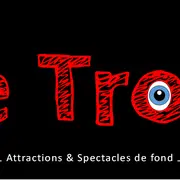 Vide-grenier