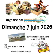 Vide-Grenier