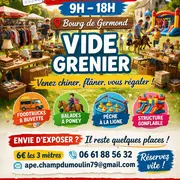 Vide Grenier à Germond-Rouvre