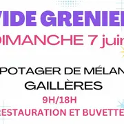 Vide grenier dans la nature