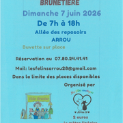 Vide Grenier de la Brunetière