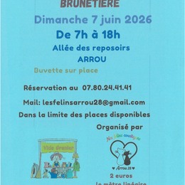 Vide Grenier de la Brunetière