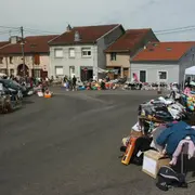 vide grenier et bourse aux plantes