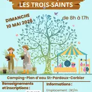 Vide grenier et Foire aux plants