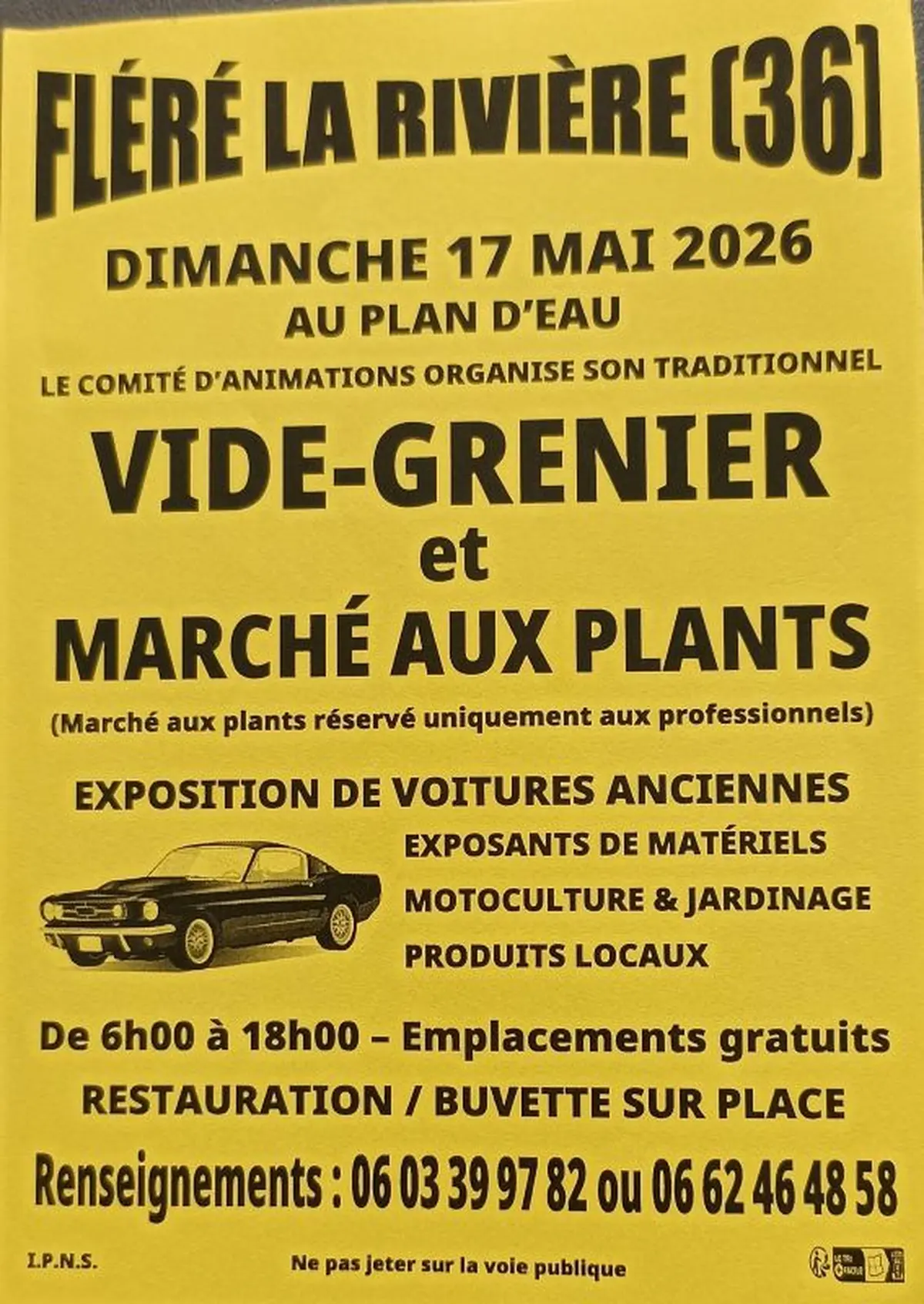 Vide-grenier et marché aux plants
