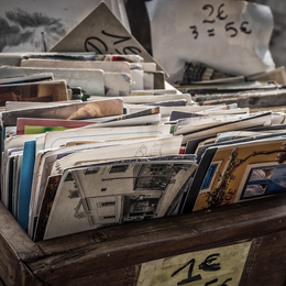 Vide-grenier et vide-potager