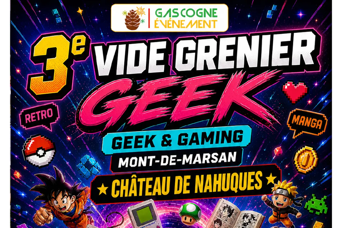 Vide Grenier Geek