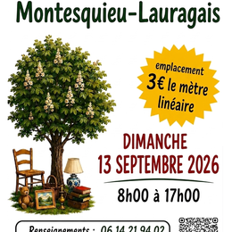 Vide Grenier Montesquieu Lauragais
