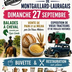 Vide Grenier Montgaillard-Lauragais