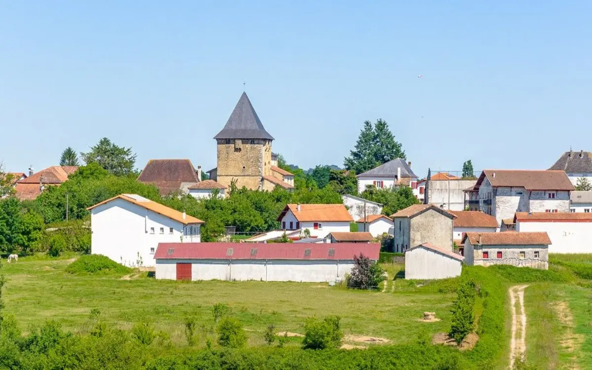 Vide-grenier-poussette